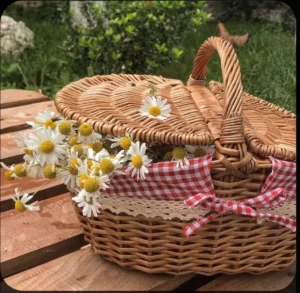 Rattan basket